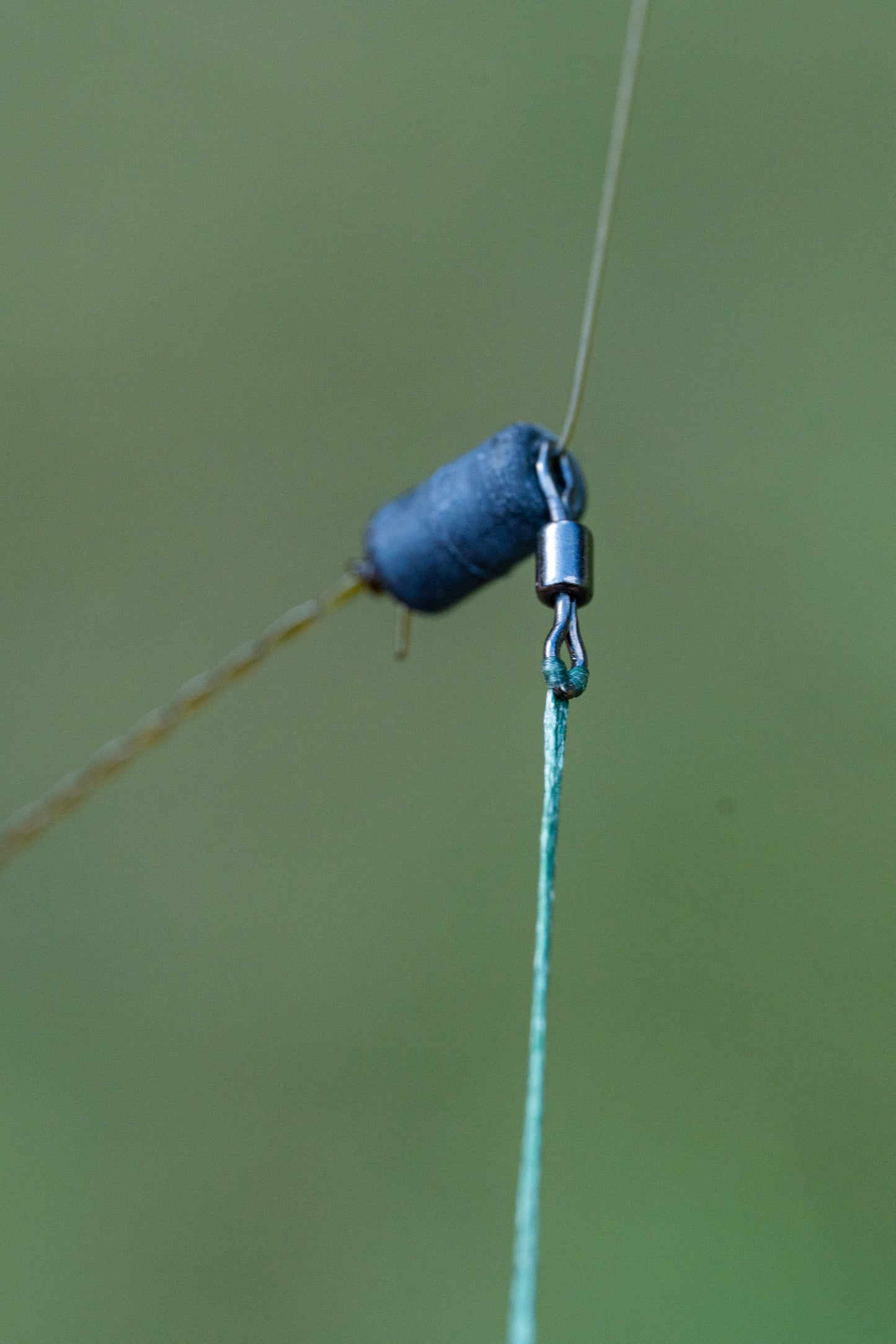 Feeder Links Soft