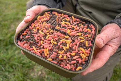 Maggot Tub And Riddle - 2Pt/1.2L