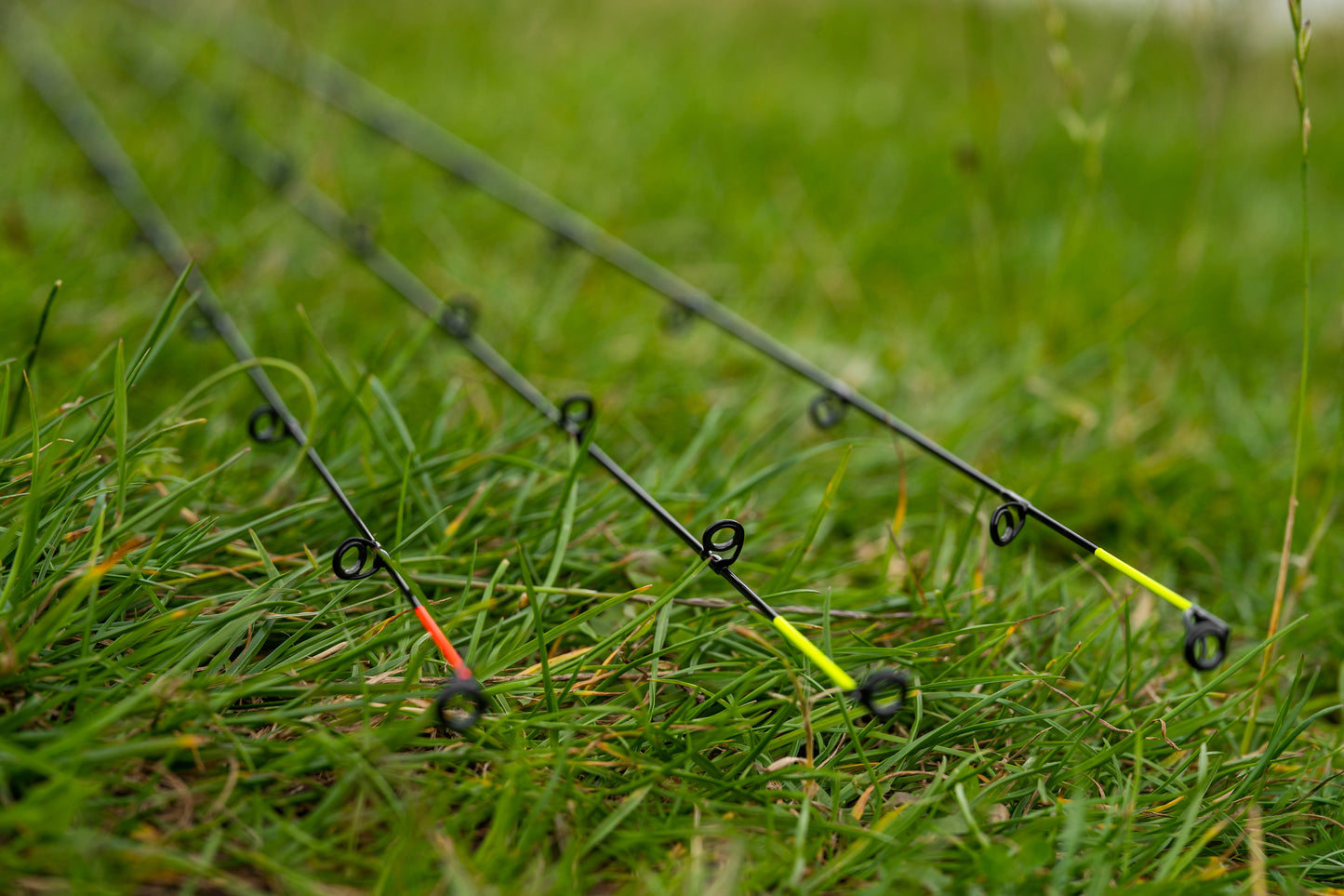 Monster Xtreme Distance Feeder Rods