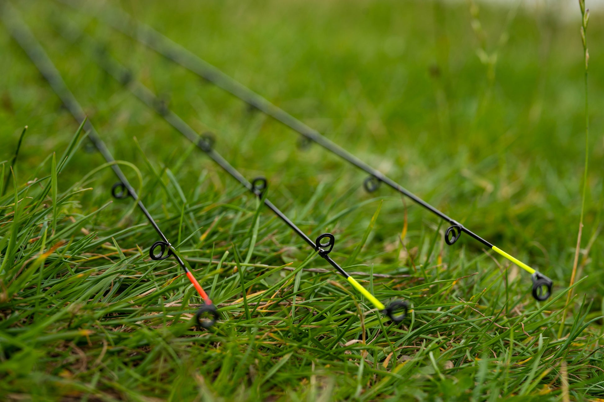 Monster Xtreme Distance Feeder Rods