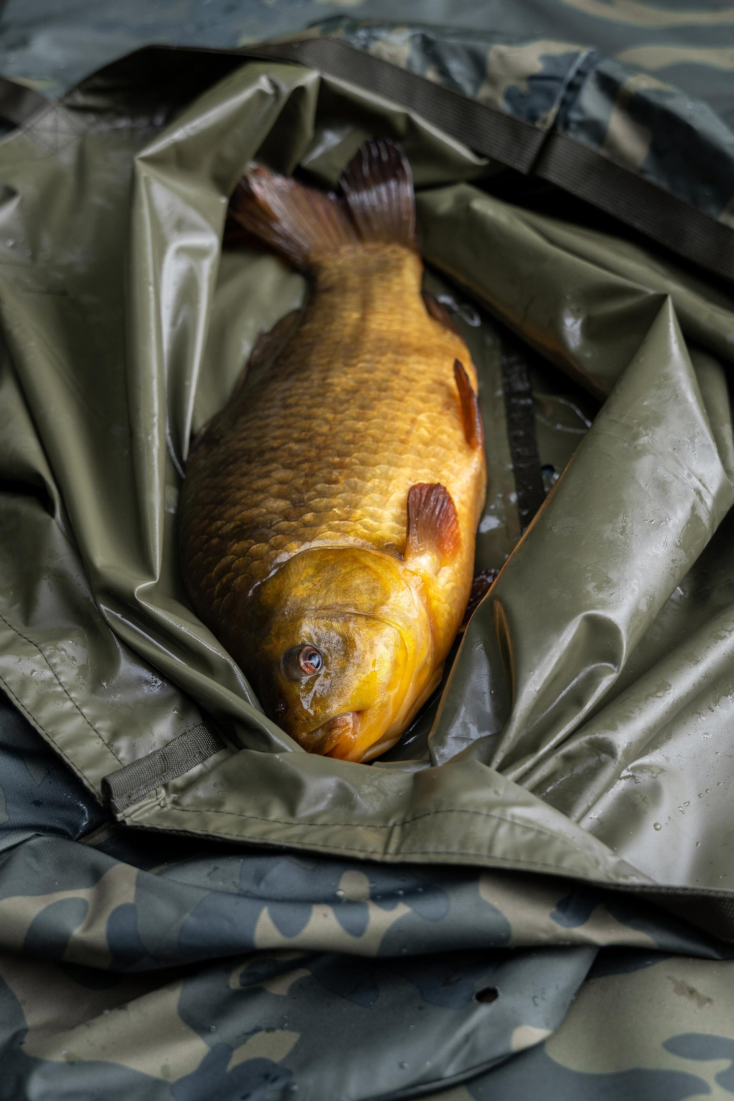 Supa Lite Fishcare Set