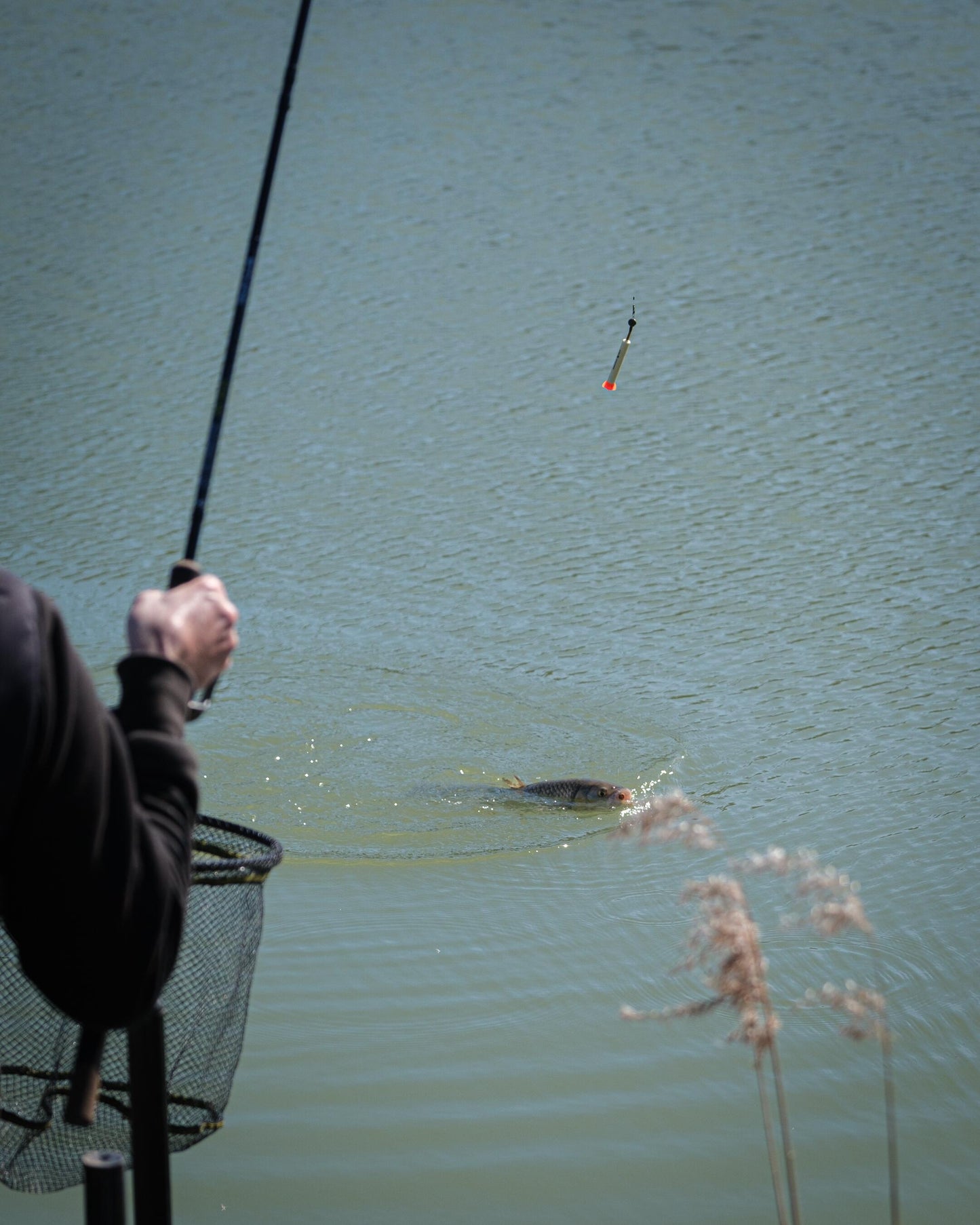 Foam Pellet Waggler