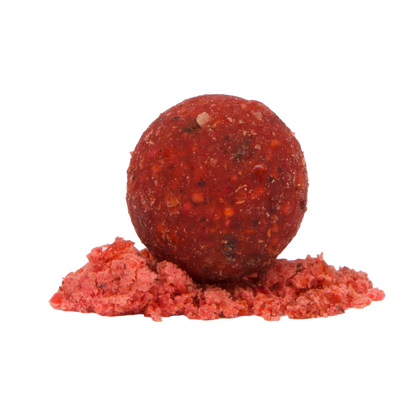 Squid & Strawberry Boilies