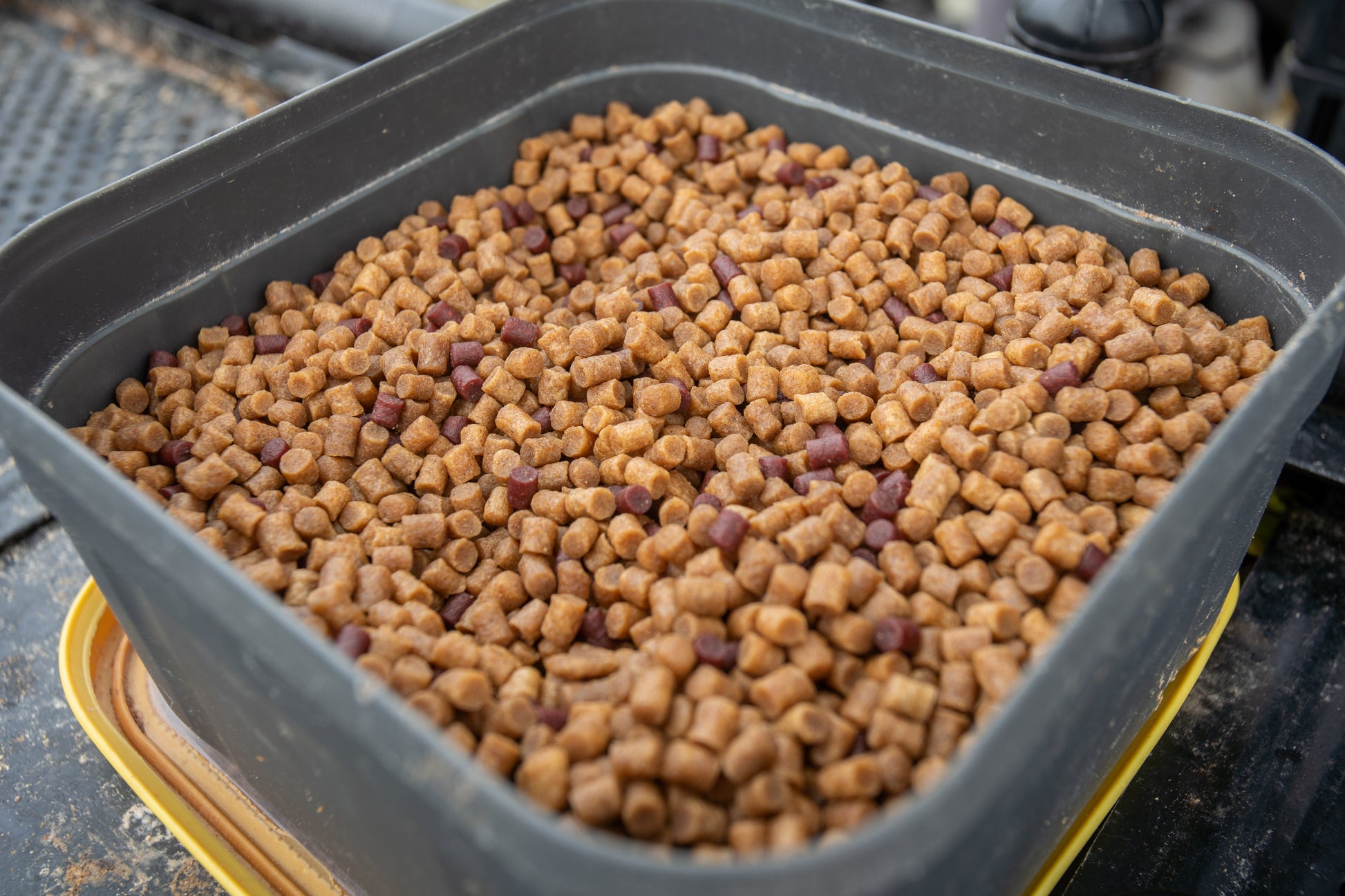 Hard Pellets