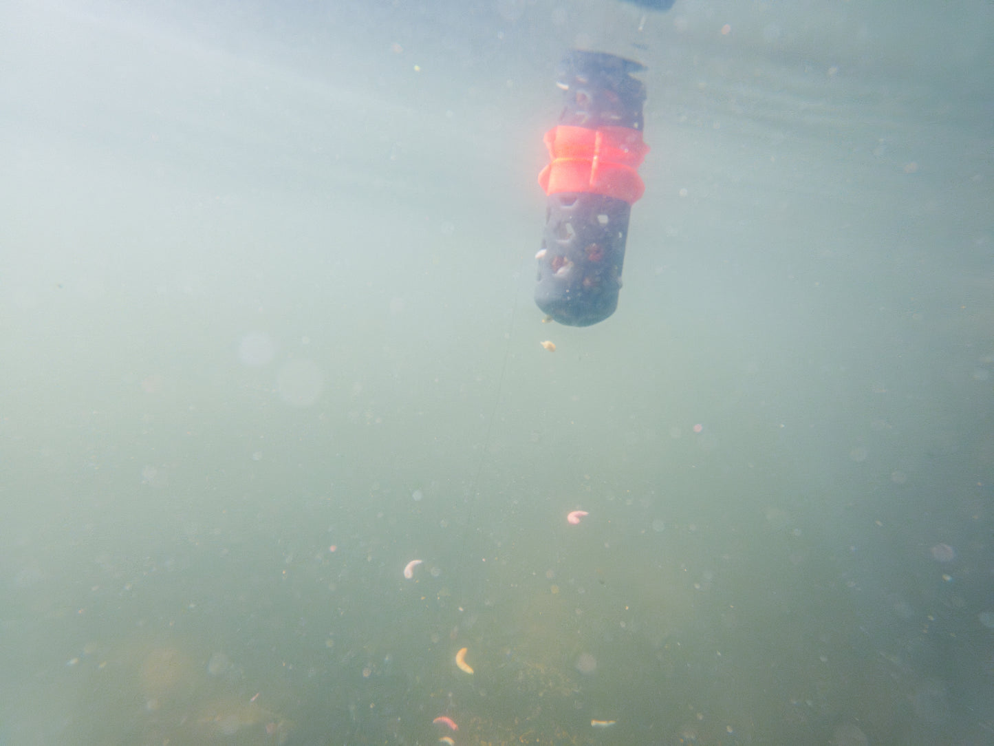 Floating Feeder
