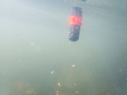 Floating Feeder