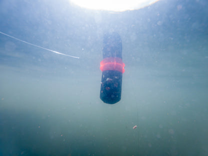 Floating Feeder