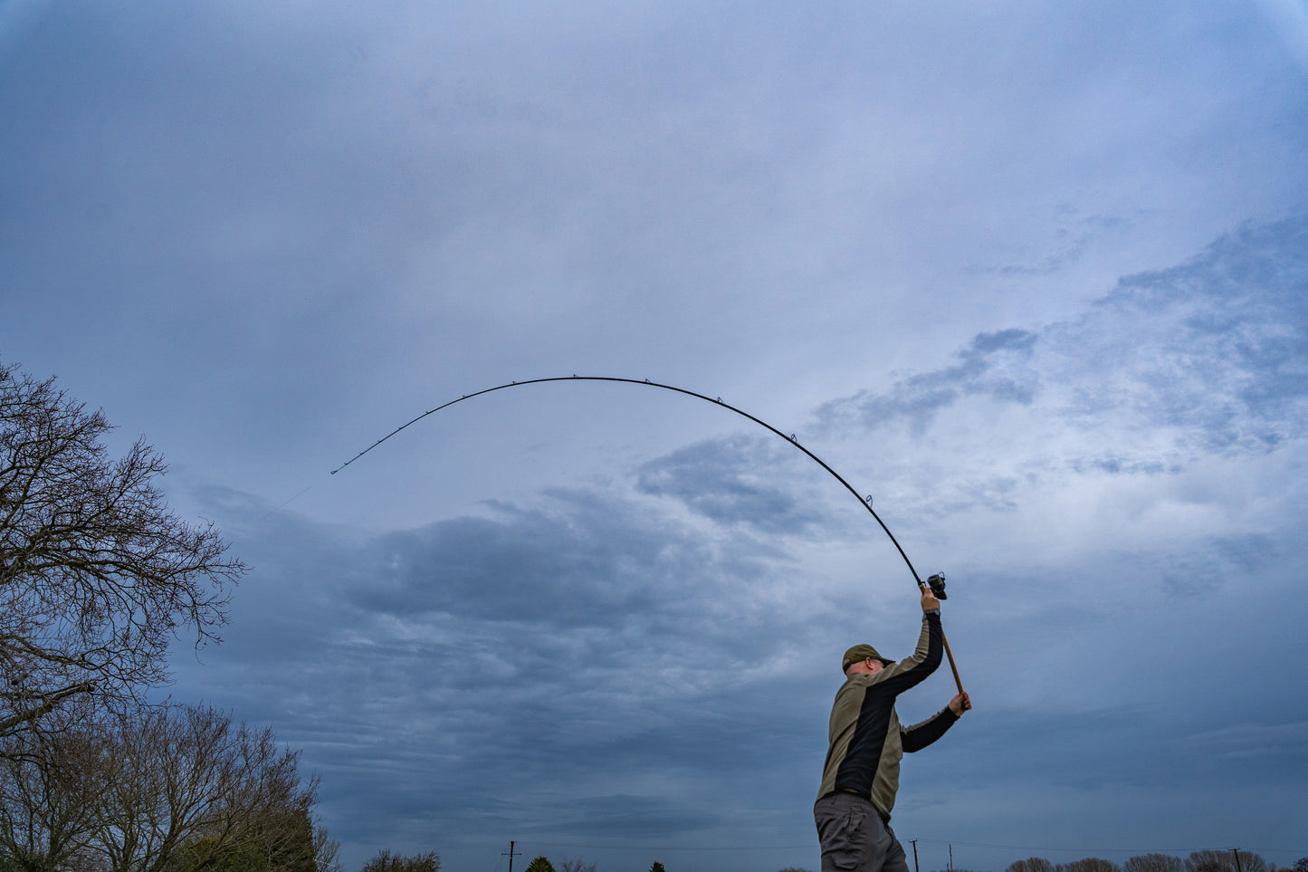 Limitless Feeder