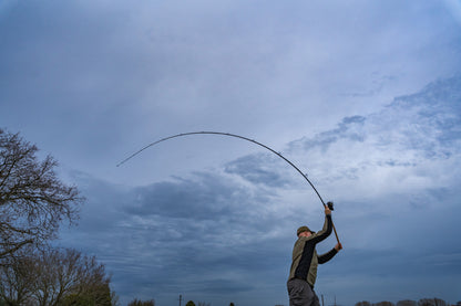Limitless Feeder