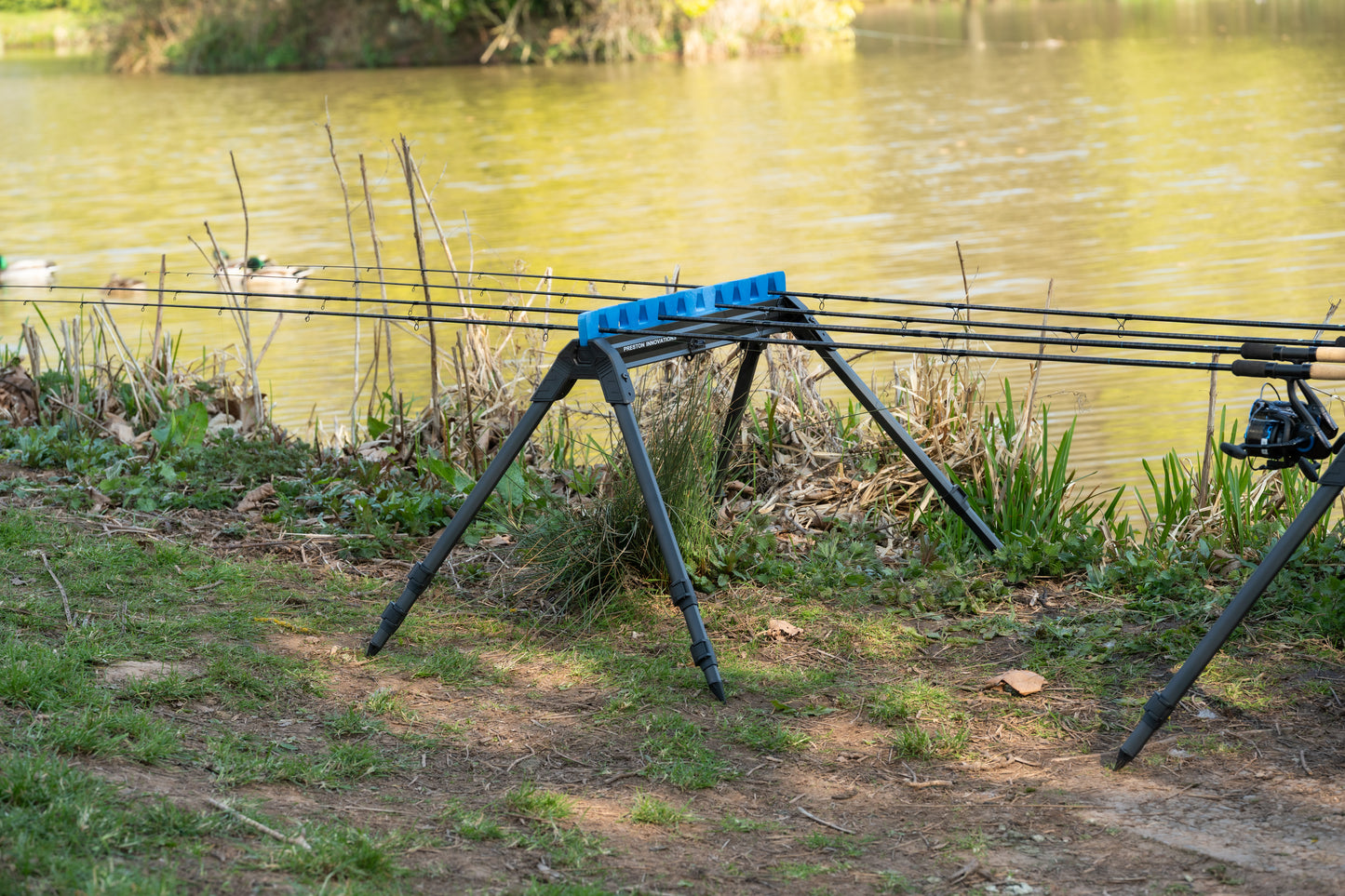 Inception Pro Roost Standard