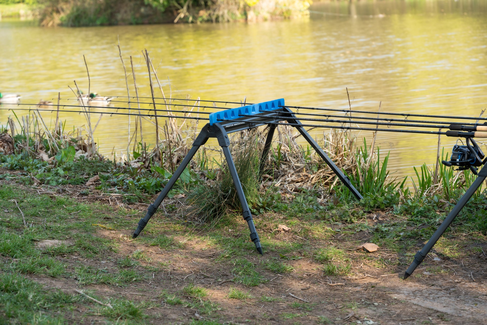 Inception Pro Roost Standard