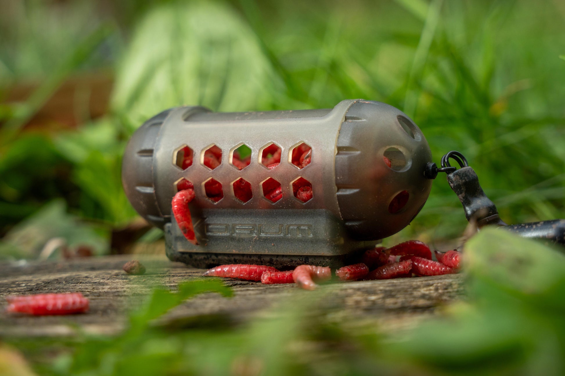 Window Maggot Feeder