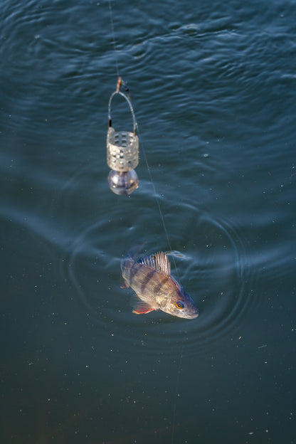 Slow Sinking Feeder