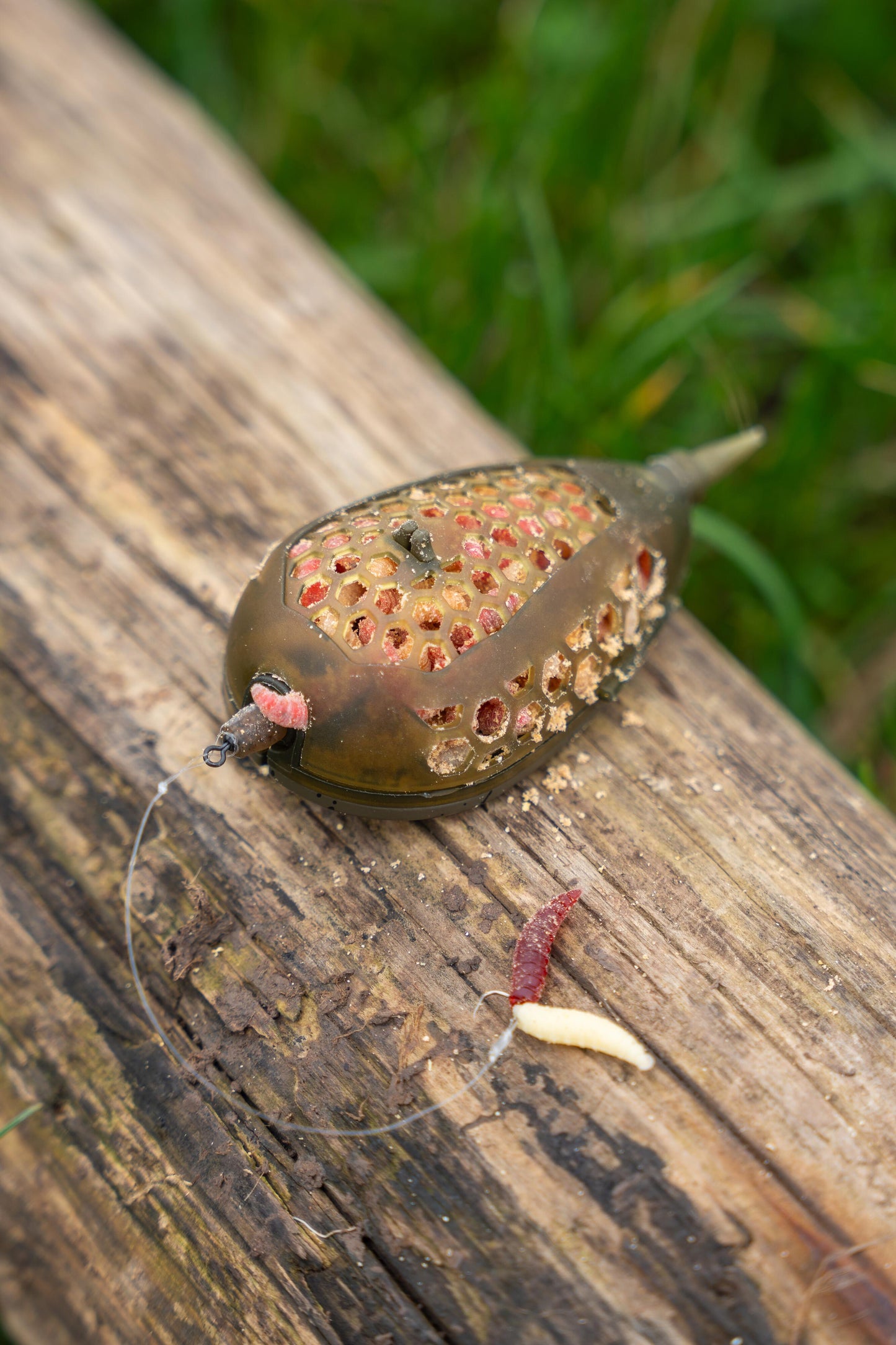 Camo Grub Feeder