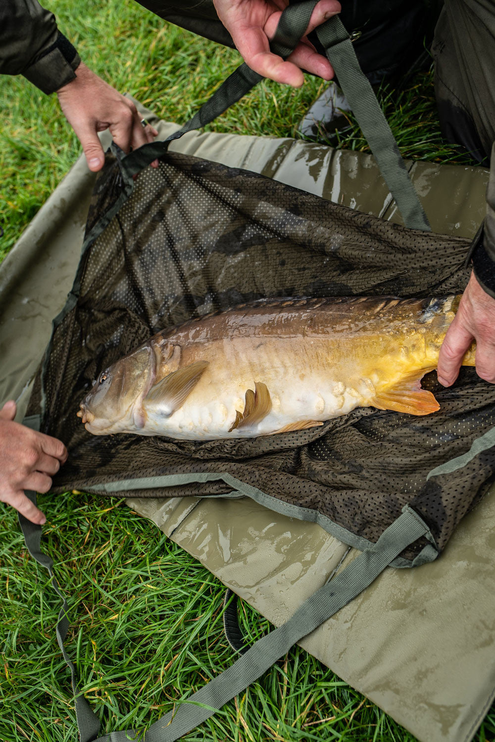 Packa-Weigh Sling