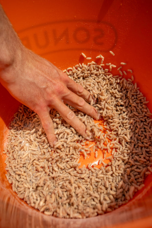 Maggot Glue