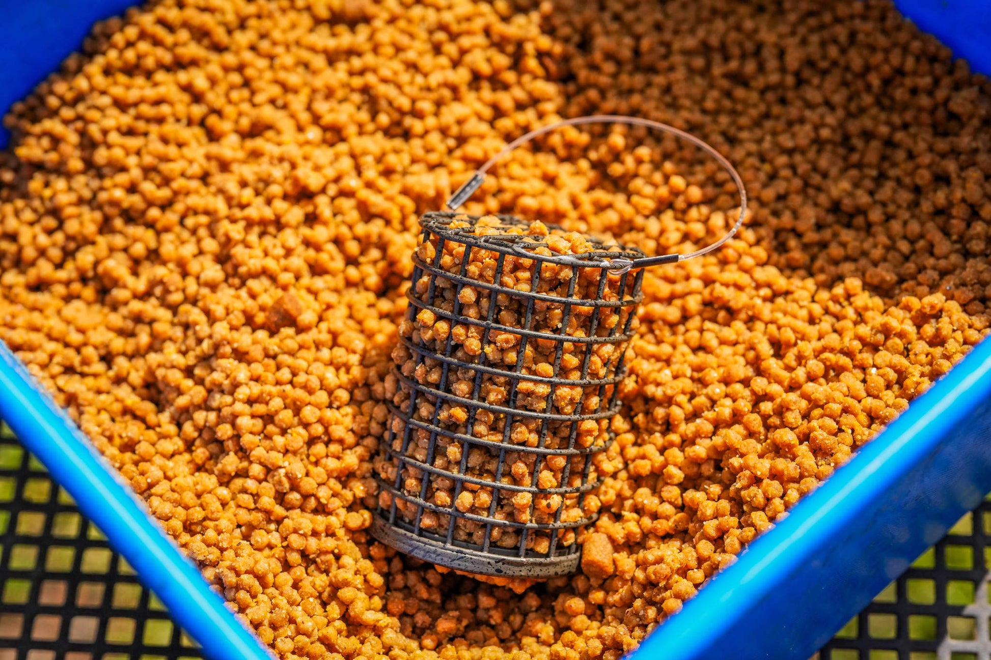 Wire Bait Up Feeder