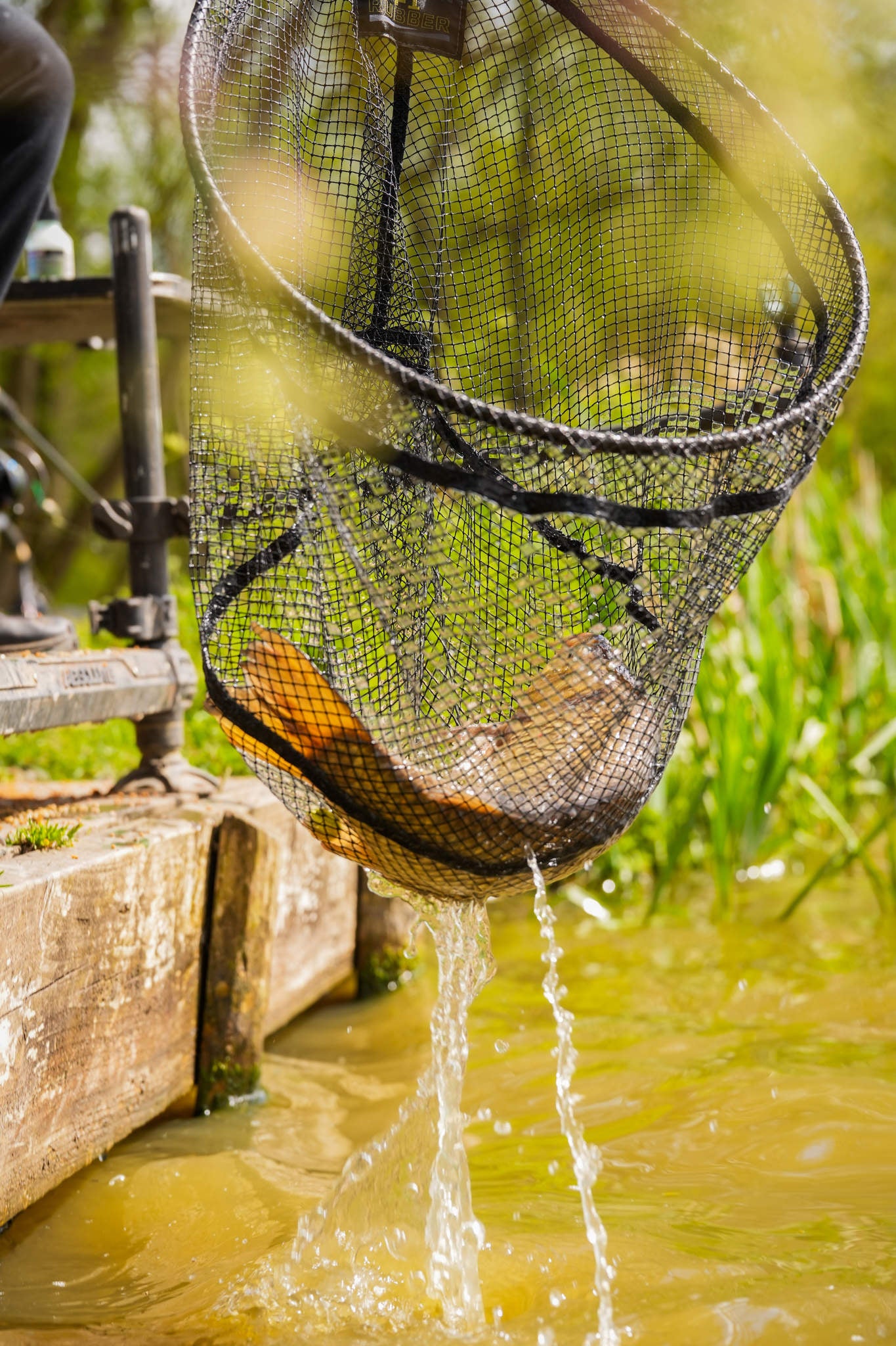Carbon F1 Latex Landing Net