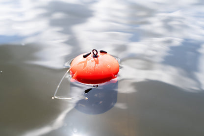Floating Feeder