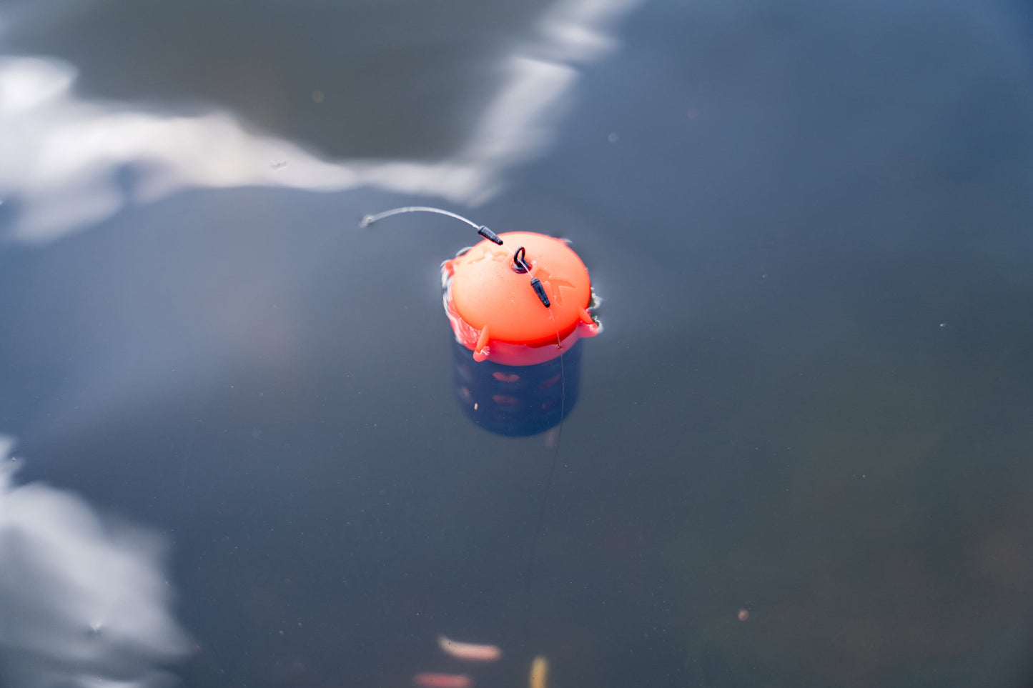 Floating Feeder