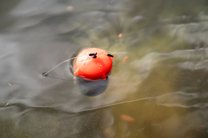 Floating Feeder