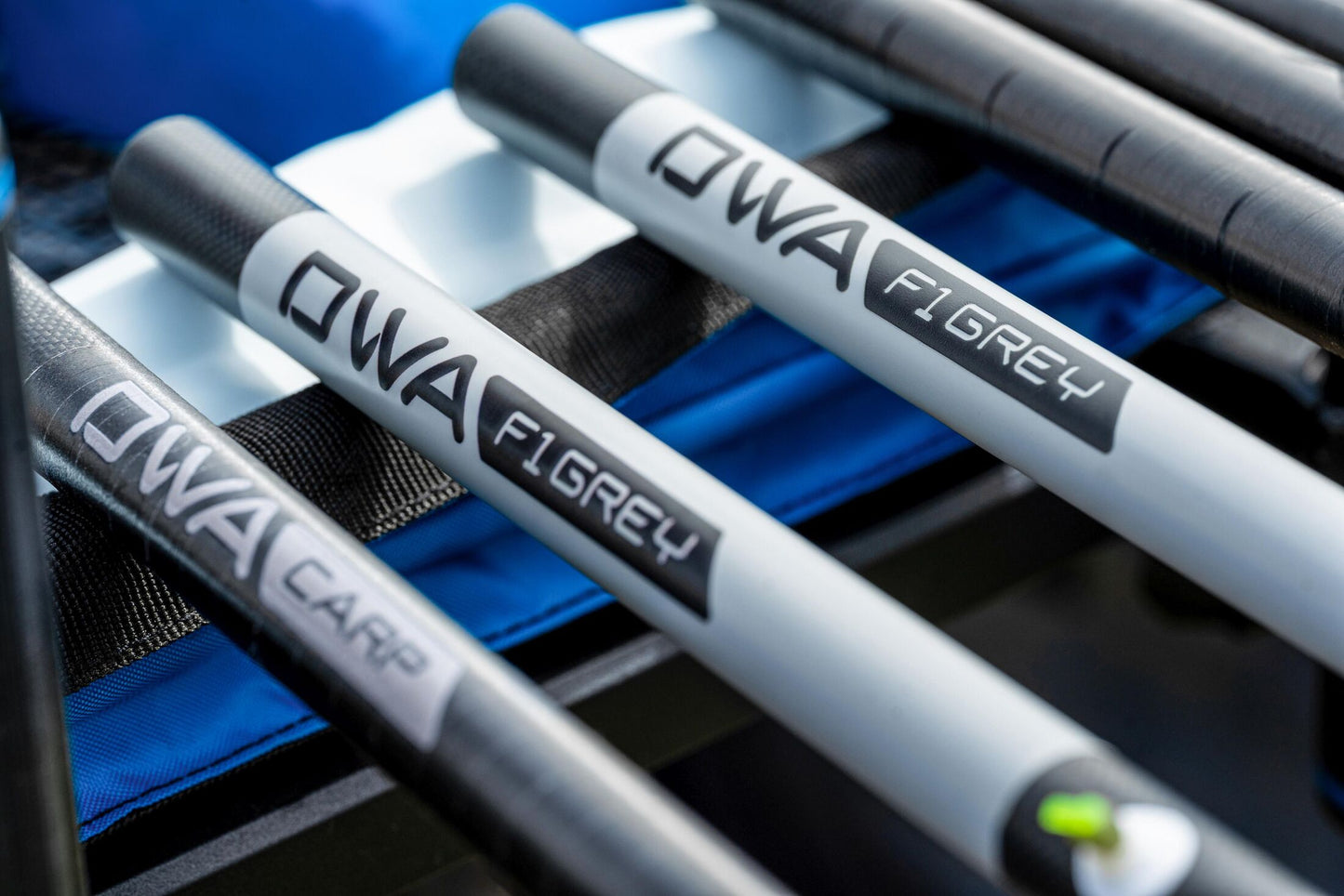 DWA Kit - Carp