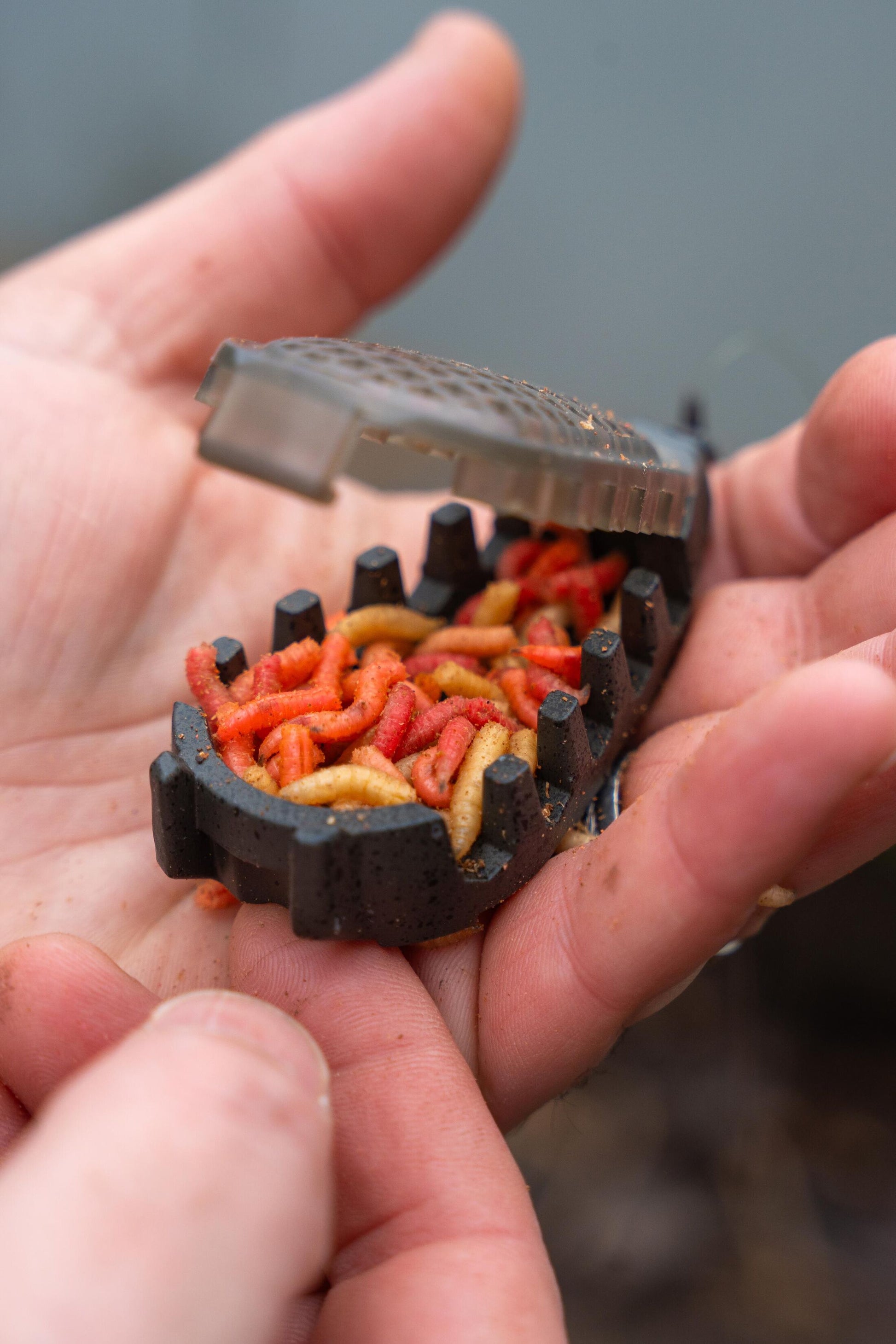 Bait Gripper Feeder