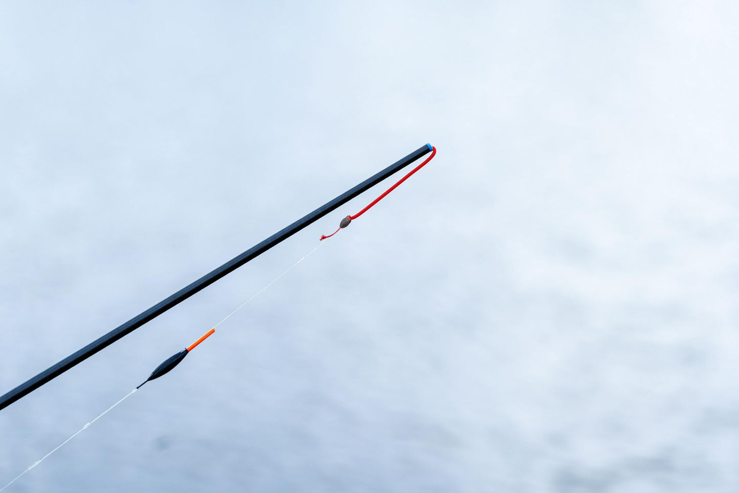 DWA Kit - Carp