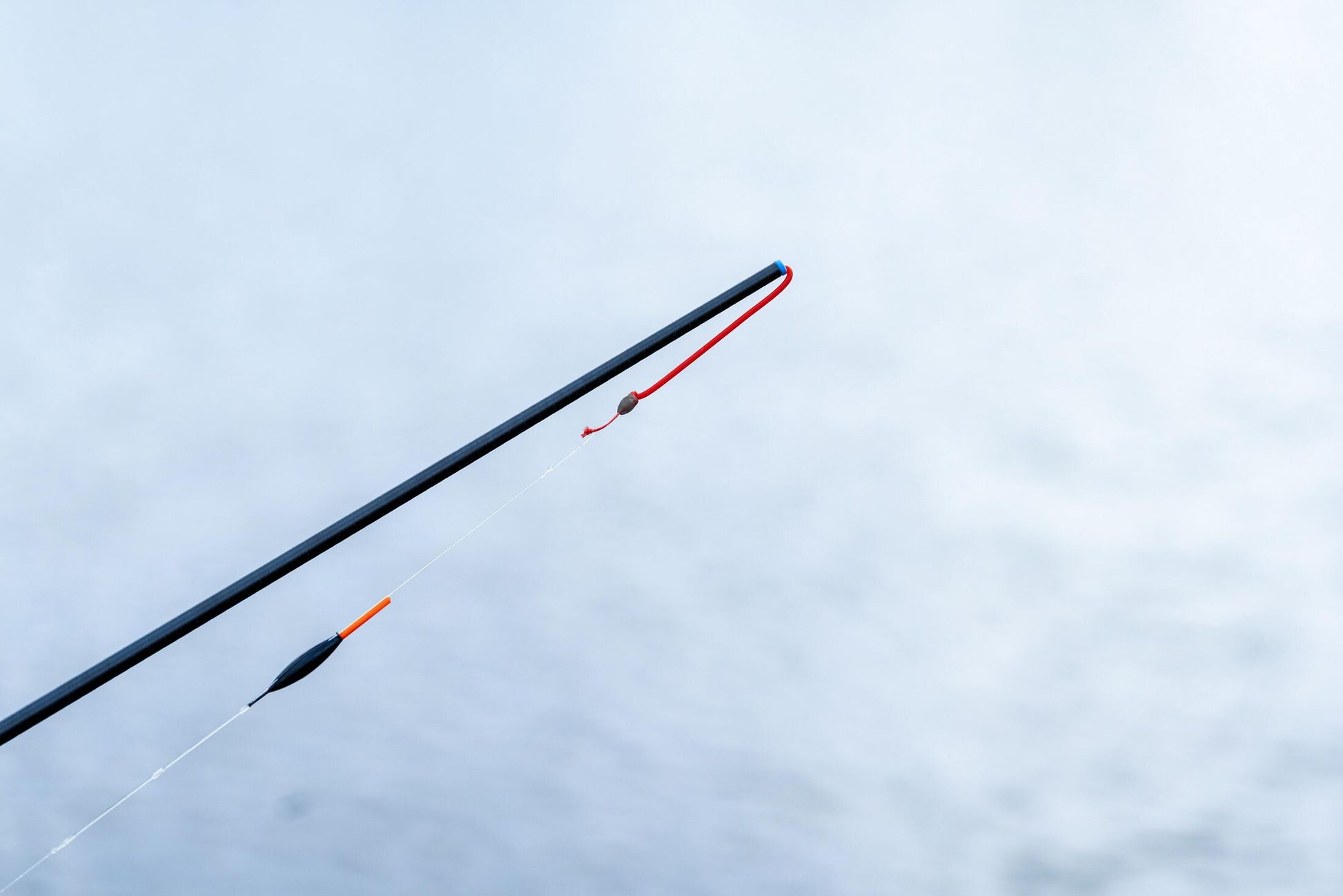 DWA Kit - Carp