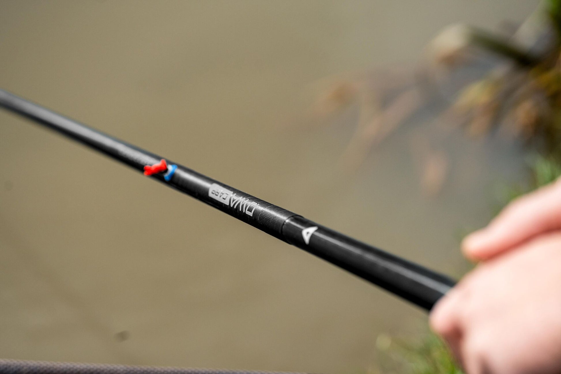 DWA Kit - Carp