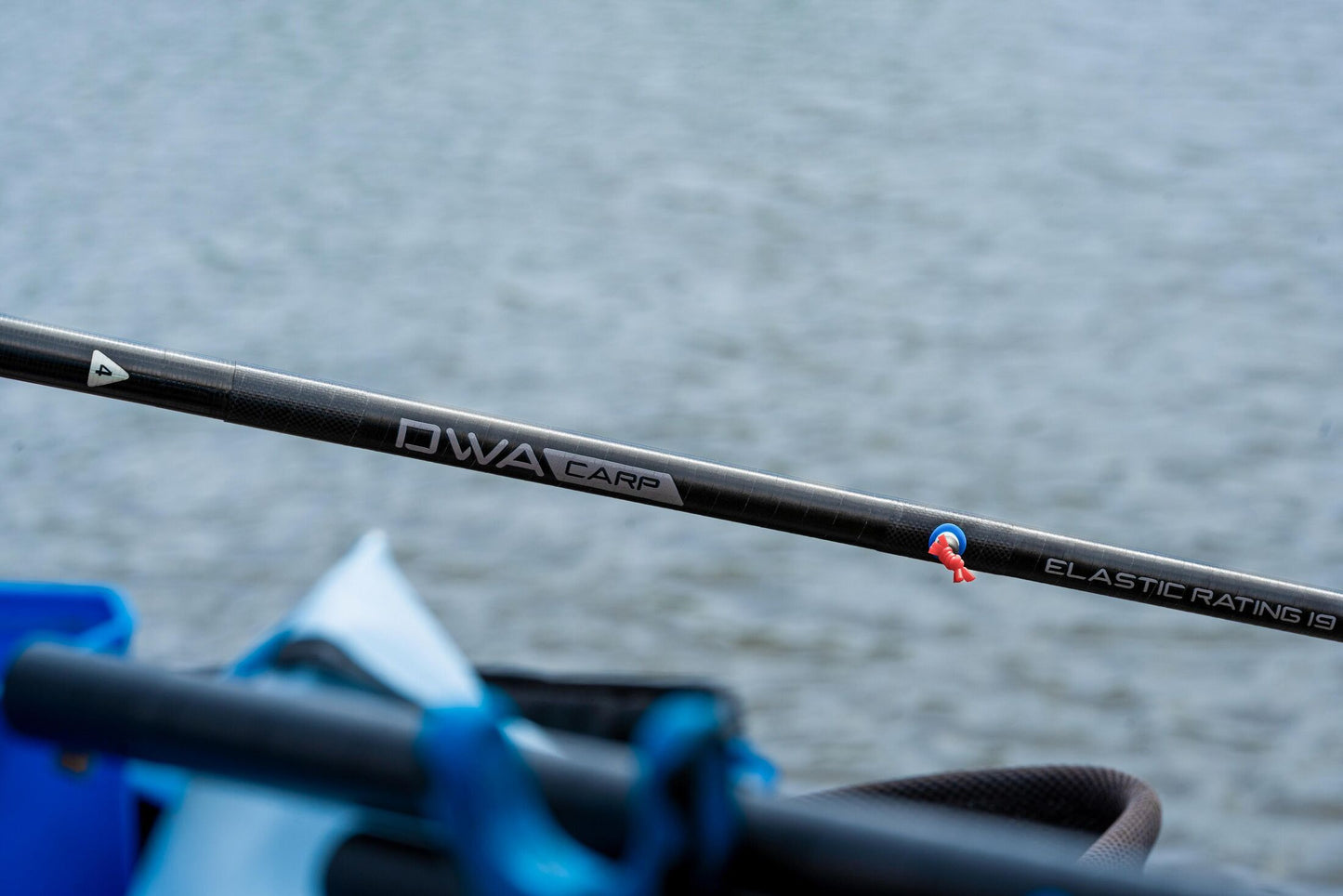 DWA Kit - Carp