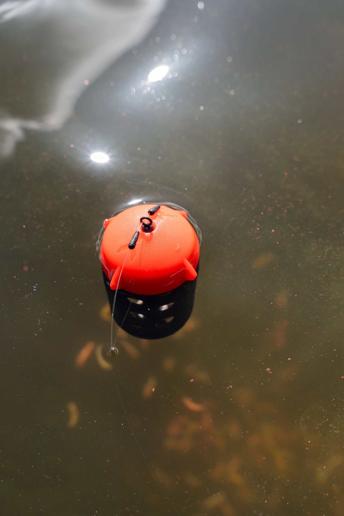 Floating Feeder