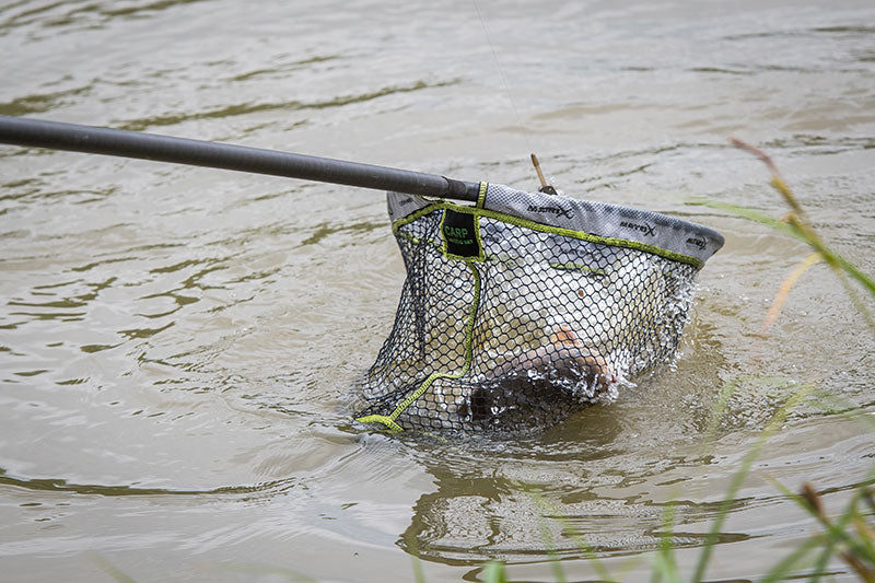 Carp Landing Nets