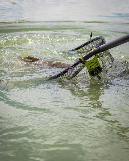 Carp Latex Landing Net