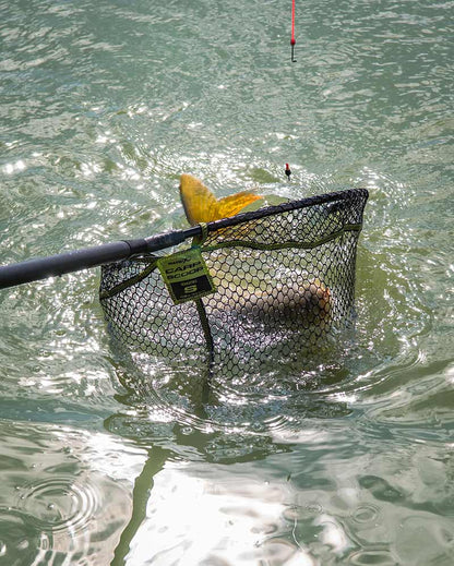 Carp Scoop Landing Net