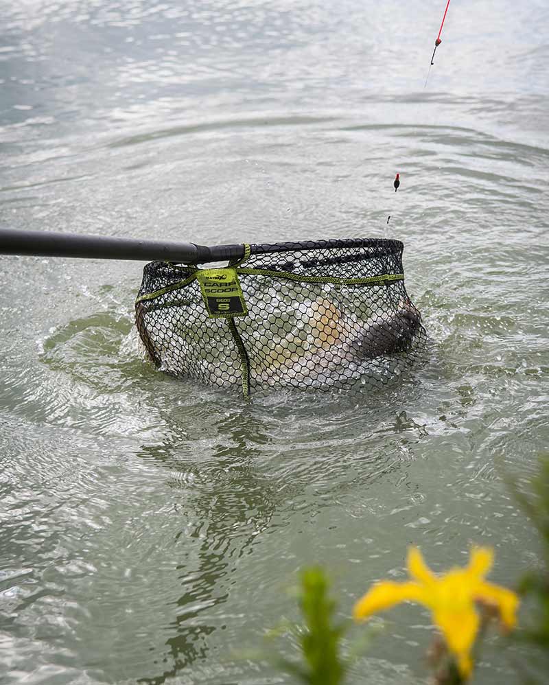 Carp Scoop Landing Net