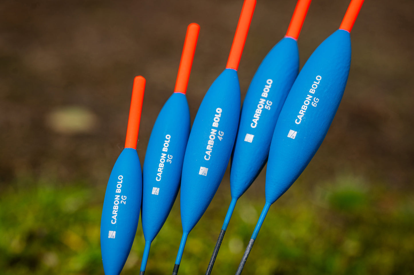Carbon Bolos