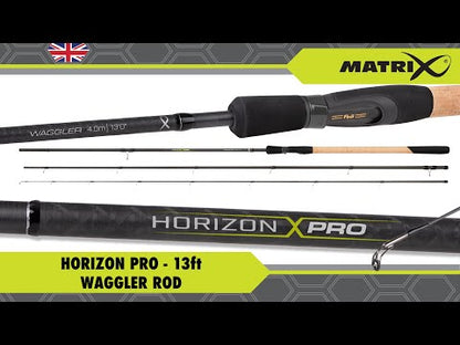 Horizon Pro 13ft Waggler